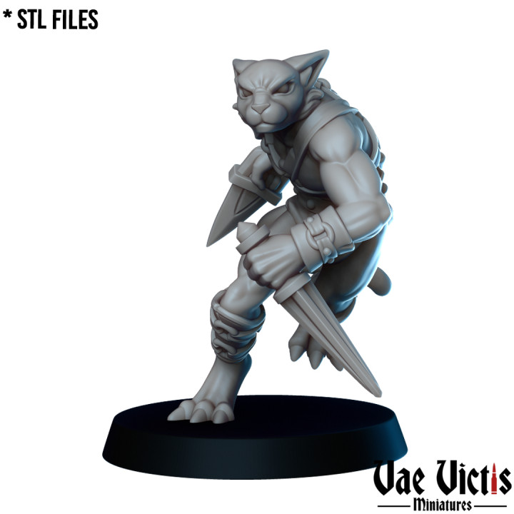 gladiateur Tabaxi