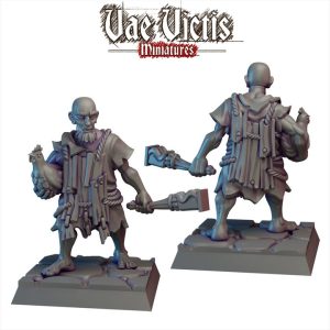 Le Vieil Homme et Son Poulet