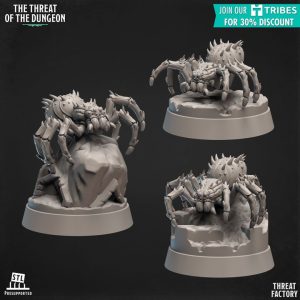 3 araignées loup géantes