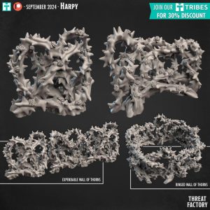 Sort du mur d'épines