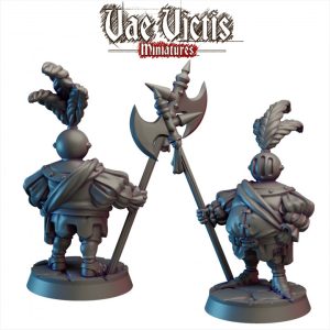 Chevalier fantasque