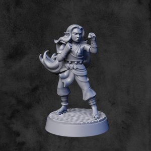 Moine génasi de l'air