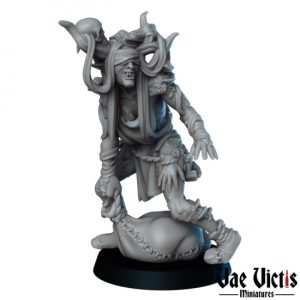 Sorcière des marais